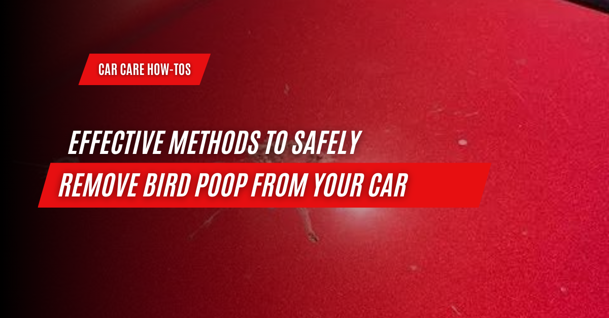 remove bird poop from your car